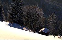 Pension Jordan Kirchberg in Tirol Ngoại thất bức ảnh